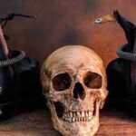 Top 10 Skull Footwear Styles You Need to Know About in 2025